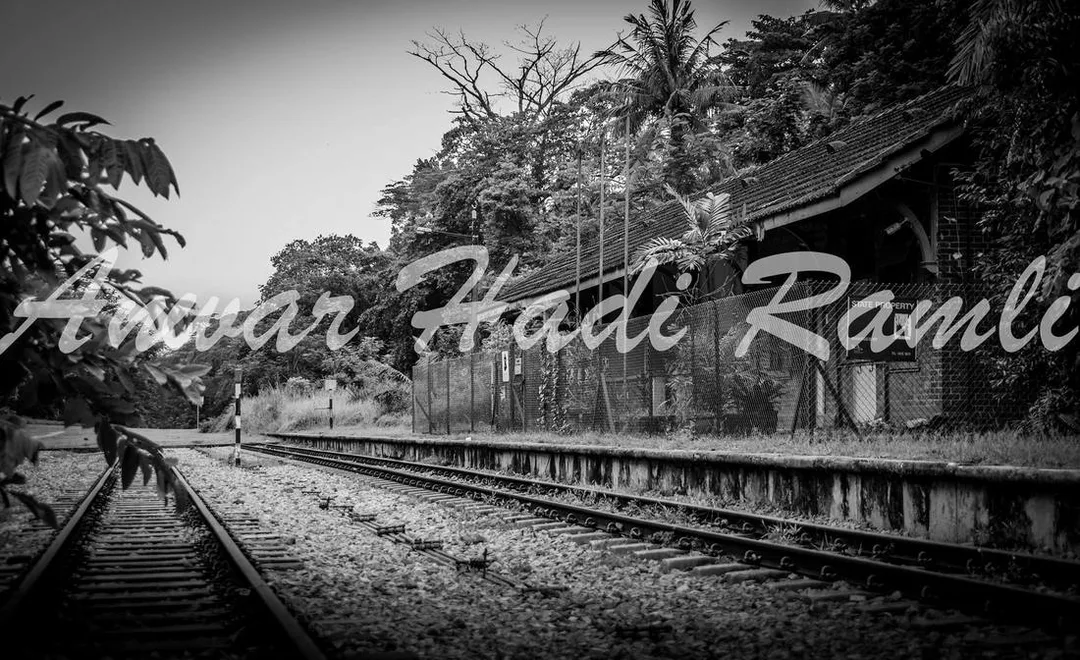 Picture